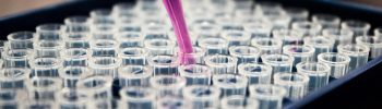British Land buys Life Science REIT