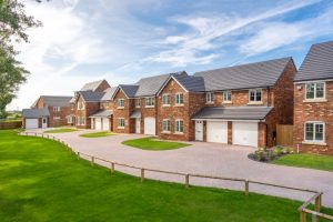 Persimmon raises profit guidance