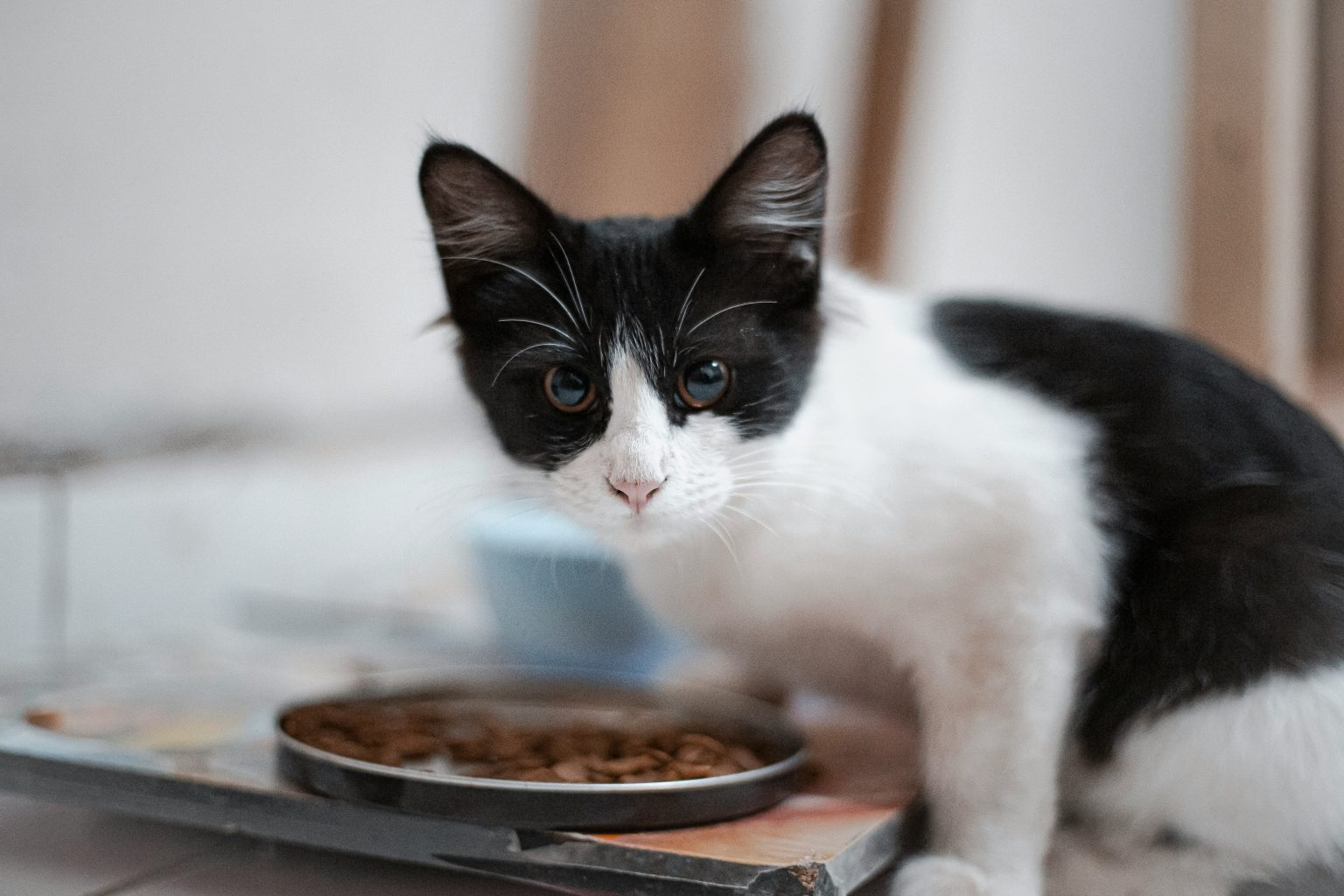 JM Smucker jumps on forecast-beating results JM Smucker’s products span peanut butter, coffee and cat food
