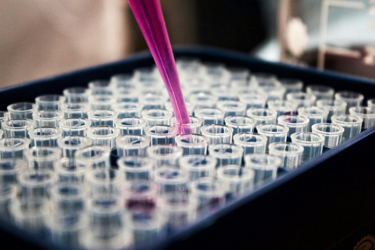 Discover how RTW Bio outperformed in 2025 RTW Biotech Opportunities (RTW)