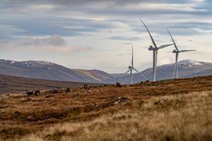 Greencoat UK Wind warns of NAV blow
