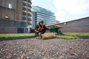 Genuit trims guidance