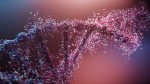 RTW Biotech Opportunities outperformed its major biotech benchmarks in April