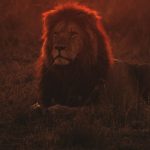Liontrust shares leap as outflows slow