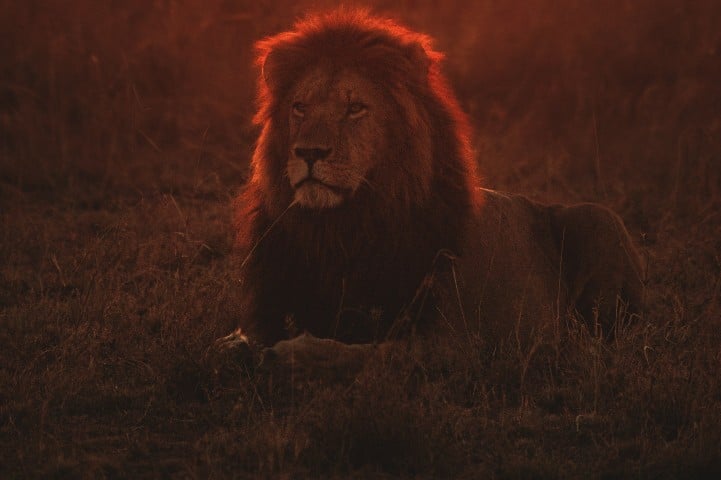 Liontrust shares leap as outflows slow Liontrust shares gain as outflows slow