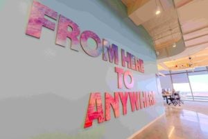Wise shares fall on fraud probe