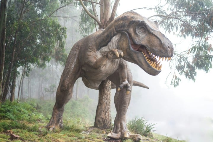 Frontier Developments posts record profit Frontier Developments posts record profit