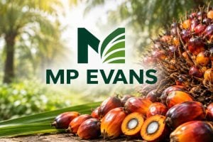 Palm oil producer MP Evans posted record H1 results