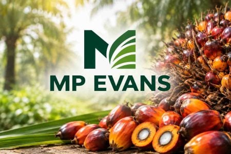 Palm oil producer MP Evans posted record H1 results