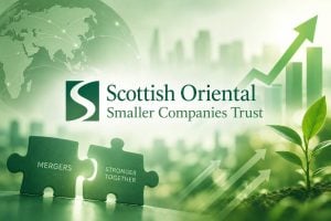 Is Scottish Oriental Smaller Companies set to merge with one of its peers? Scottish Oriental Smaller Companies has cancelled plans for a 25% tender offer and launched a strategic review